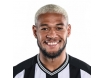 Tricou Joelinton Tricou Joelinton